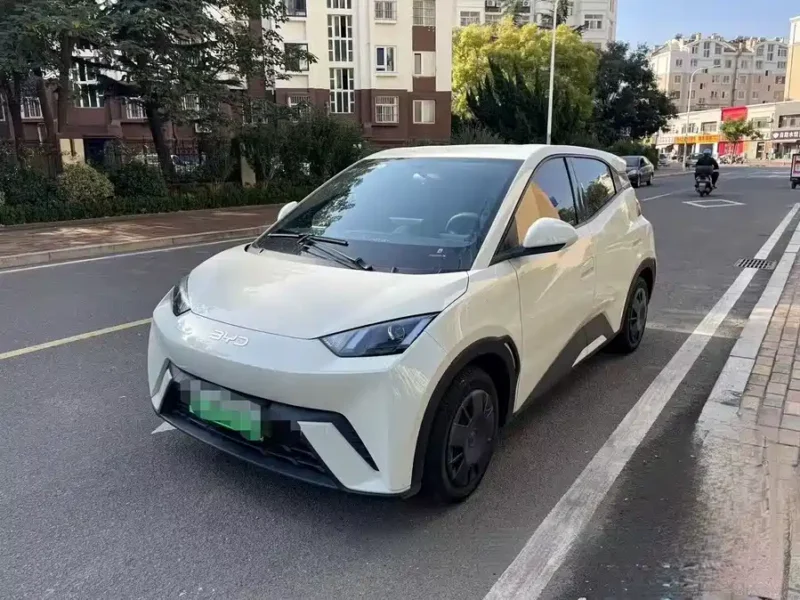 Used BYD Seagull 2024 Honor Edition 305km Vitality Edition