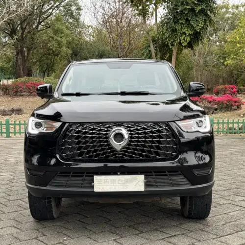 Used GWM Cannon 2019 2.0T commercial version manual gasoline two-wheel drive elite long box GW4C20B