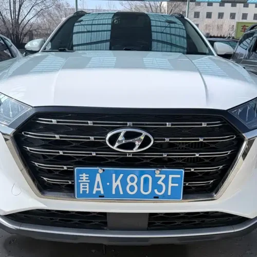 Used Hyundai Tucson 2020 280TGDi dual-clutch two-wheel drive smart version National V