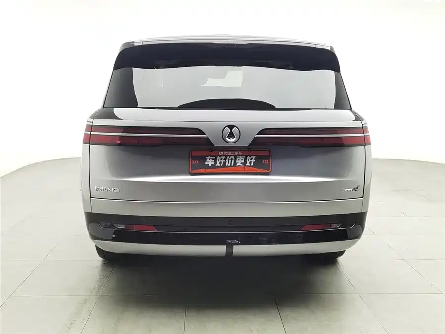 Used Denza N9 2025 Honor Model