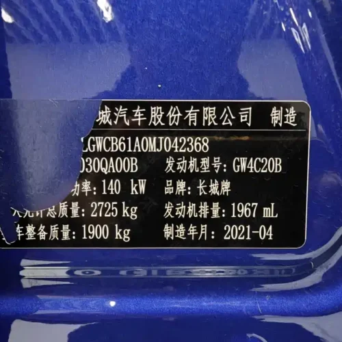 Used GWM Cannon 2021 2.0T commercial version automatic gasoline two-wheel drive elite long box GW4C20B