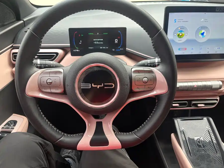 Used BYD Seagull 2023 Flying Edition