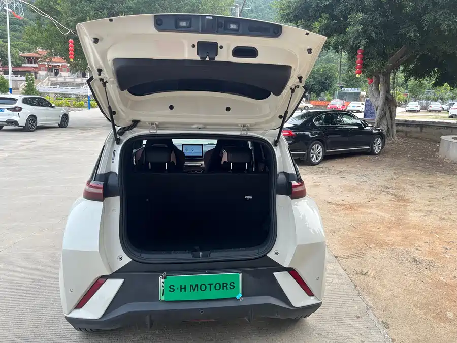 Used BYD Seagull 2023 Flying Edition