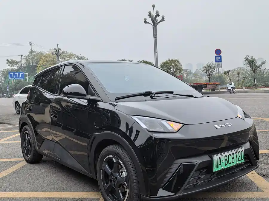 Used BYD Seagull 2024 Honor Edition 305km Free Edition