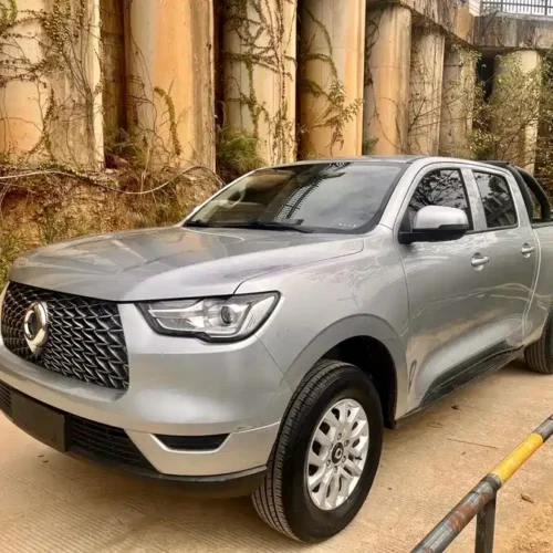 Used GWM Cannon 2019 2.0T commercial version manual gasoline four-wheel drive elite standard box GW4C20B