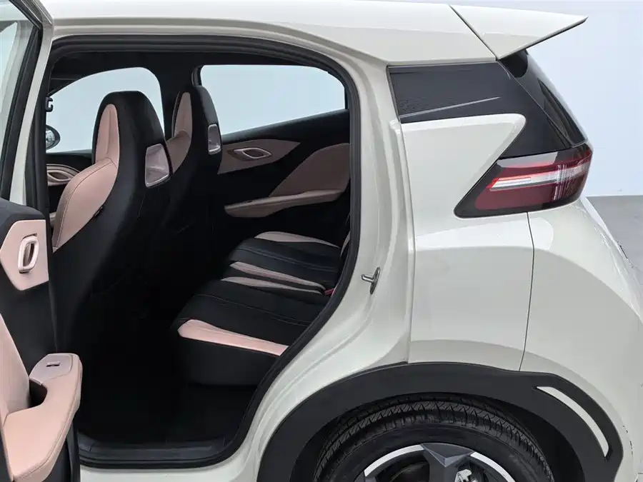 Used BYD Seagull 2023 Flying Edition