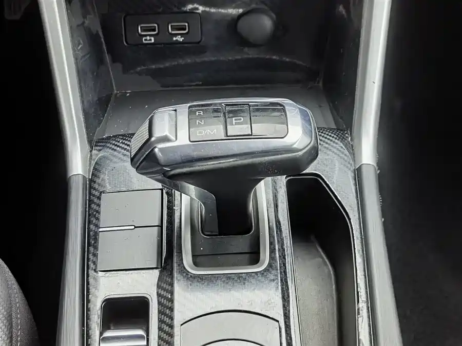 Used GWM Cannon 2021 2.0T commercial version automatic diesel two-wheel drive elite long box GW4D20M