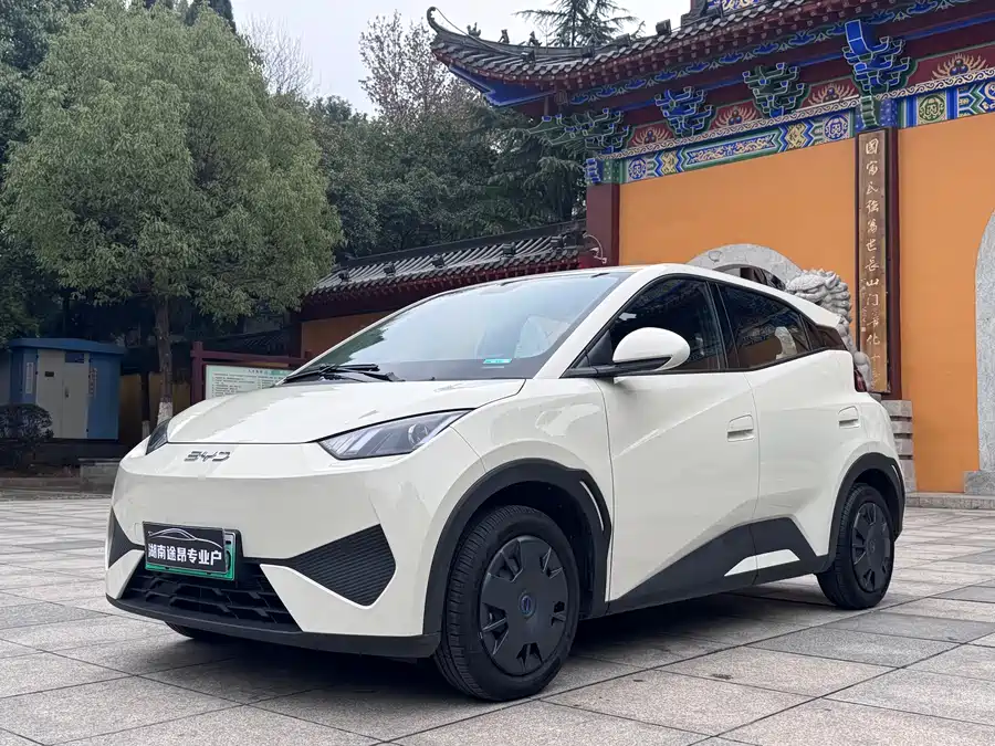 Used BYD Seagull 2025 Smart Driving Edition 305km Vitality Edition