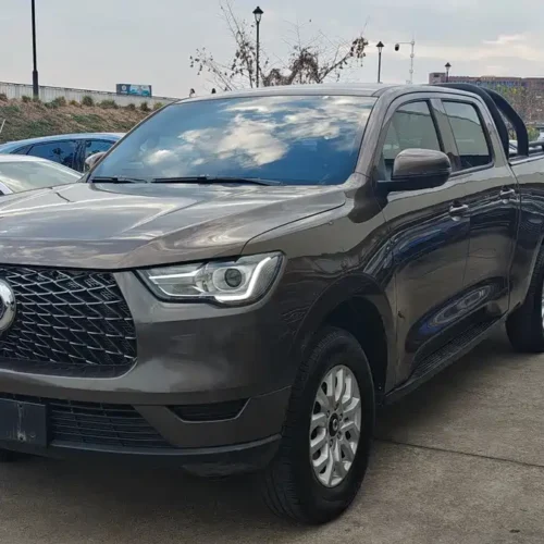 Used GWM Cannon 2021 2.0T commercial version automatic diesel four-wheel drive pilot type standard box GW4D20M