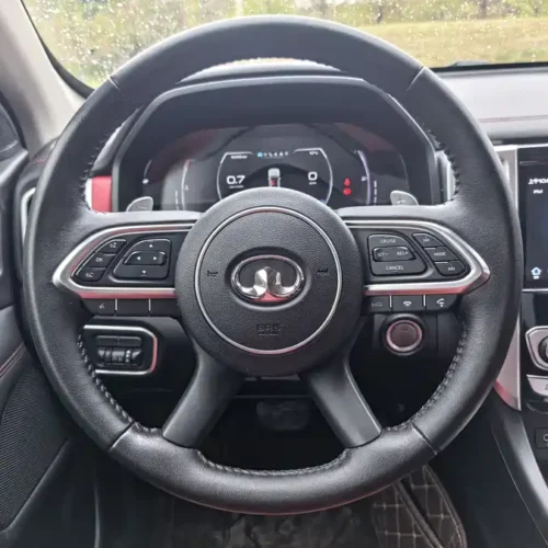 Used GWM Cannon 2020 2.0T off-road version automatic gasoline four-wheel drive high-end version GW4C20B