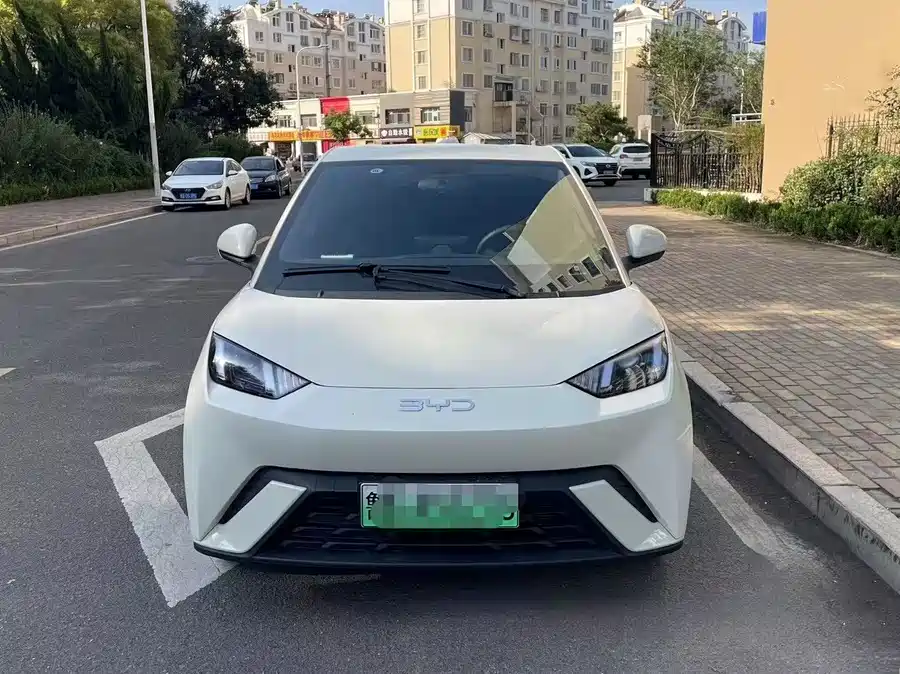 Used BYD Seagull 2024 Honor Edition 305km Vitality Edition