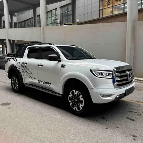 Used GWM Cannon 2021 2.0T passenger global version automatic gasoline four-wheel drive sports standard box GW4C20B