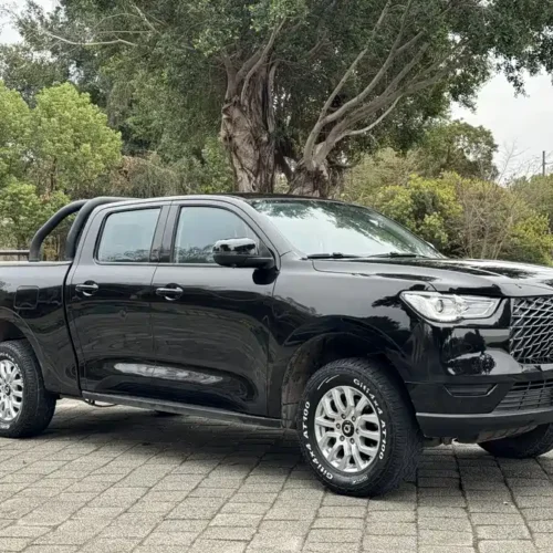 Used GWM Cannon 2019 2.0T commercial version manual gasoline two-wheel drive elite long box GW4C20B