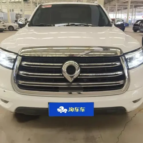 Used GWM Cannon 2019 2.0T automatic gasoline four-wheel drive sports version GW4C20B