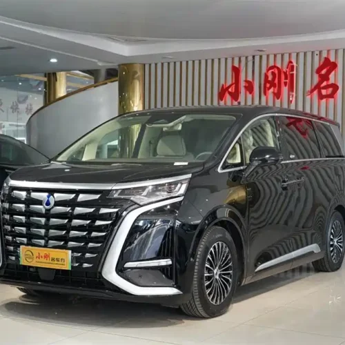 Used Denza D9 2024 DM-i 980 four-wheel drive flagship model