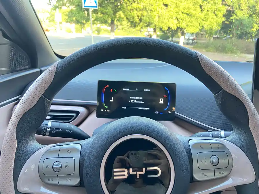 Used BYD Seagull 2025 305km active version