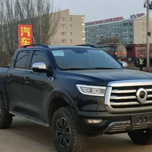 Used GWM Cannon 2021 2.0T passenger global version automatic gasoline four-wheel drive sports standard box GW4C20B