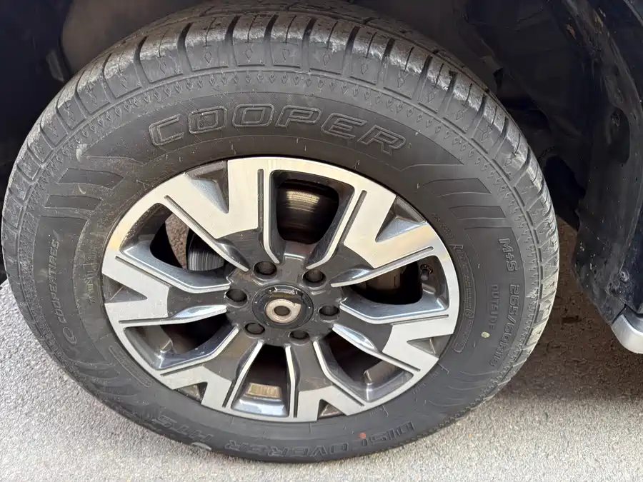 Used GWM Cannon 2021 2.0T passenger global version automatic diesel four-wheel drive sports standard box GW4D20M