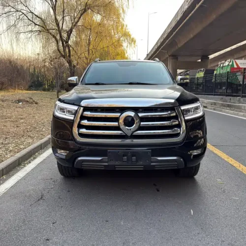 Used GWM Cannon 2021 2.0T passenger global version automatic diesel four-wheel drive sports standard box GW4D20M