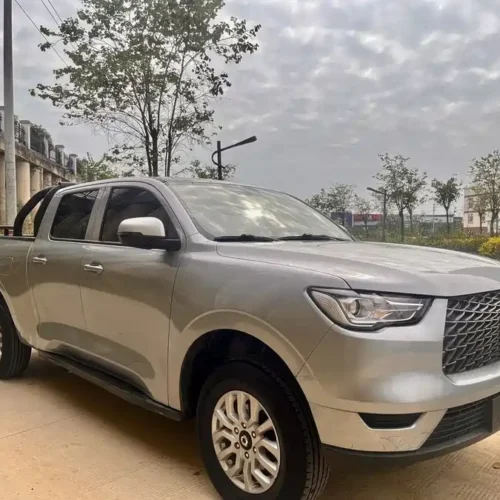 Used GWM Cannon 2019 2.0T commercial version manual gasoline four-wheel drive elite standard box GW4C20B