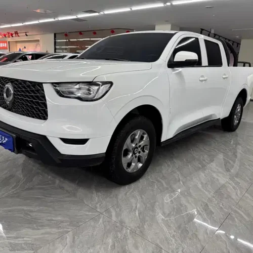 Used GWM Cannon 2023 2.0T commercial version manual diesel four-wheel drive elite standard box GW4D20M