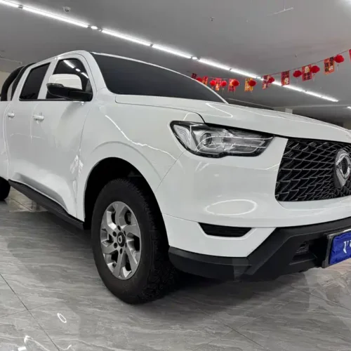 Used GWM Cannon 2023 2.0T commercial version manual diesel four-wheel drive elite standard box GW4D20M