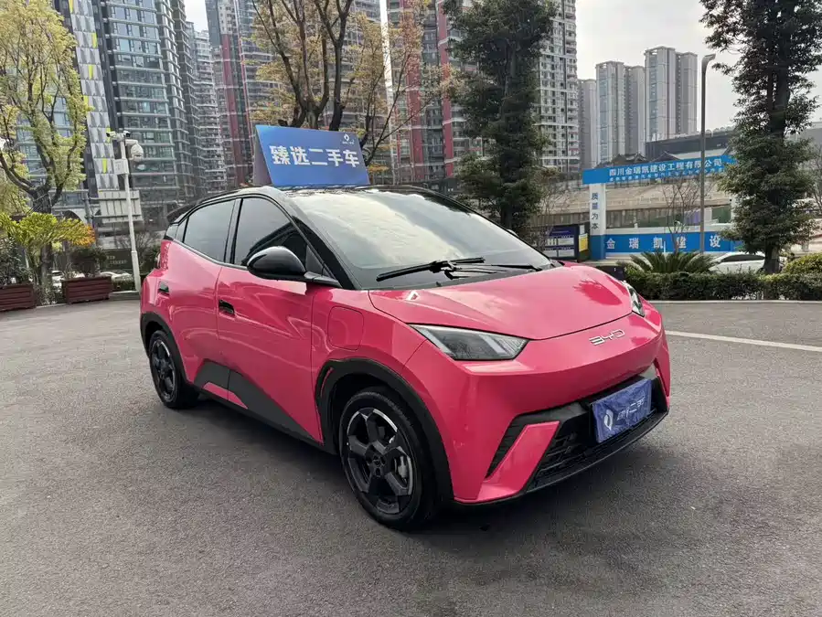 Used BYD Seagull 2023 Free Edition
