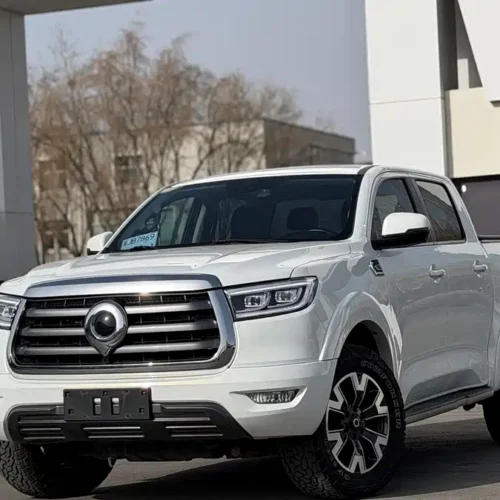 Used GWM Cannon 2021 2.0T passenger global version automatic diesel four-wheel drive comfort standard box GW4D20M