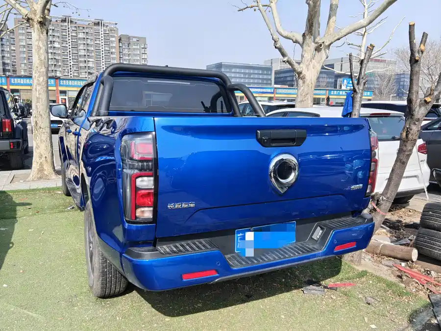 900x675_0_q87_c42_autohomecar__ChxpVWmmeGqASiKYAAmzSZ575l0195.jpg.webp Used GWM Cannon 2023 2.0T commercial version automatic gasoline four-wheel drive elite standard box GW4C20B