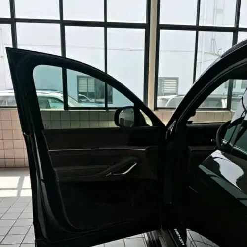 Used Denza N9 2025 flagship model
