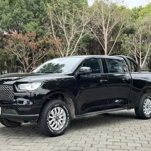 Used GWM Cannon 2019 2.0T commercial version manual gasoline two-wheel drive elite long box GW4C20B