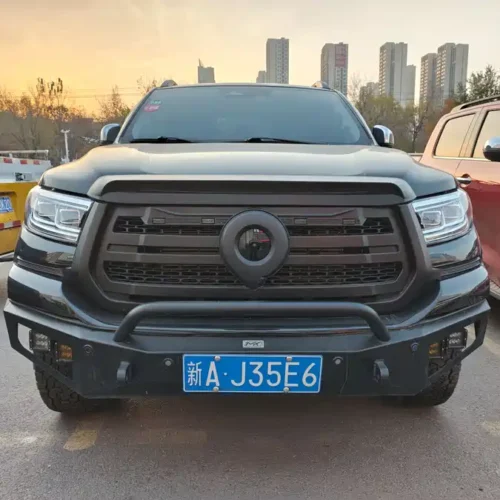 Used GWM Cannon 2023 2.0T passenger version automatic gasoline four-wheel drive exclusive model GW4C20B