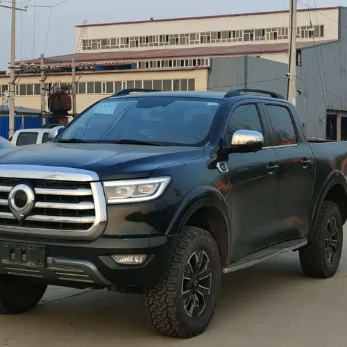 Used GWM Cannon 2021 2.0T passenger global version automatic gasoline four-wheel drive sports standard box GW4C20B