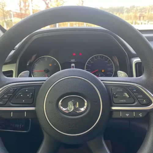 Used GWM Cannon 2019 2.0T commercial version automatic gasoline two-wheel drive elite long box GW4C20B