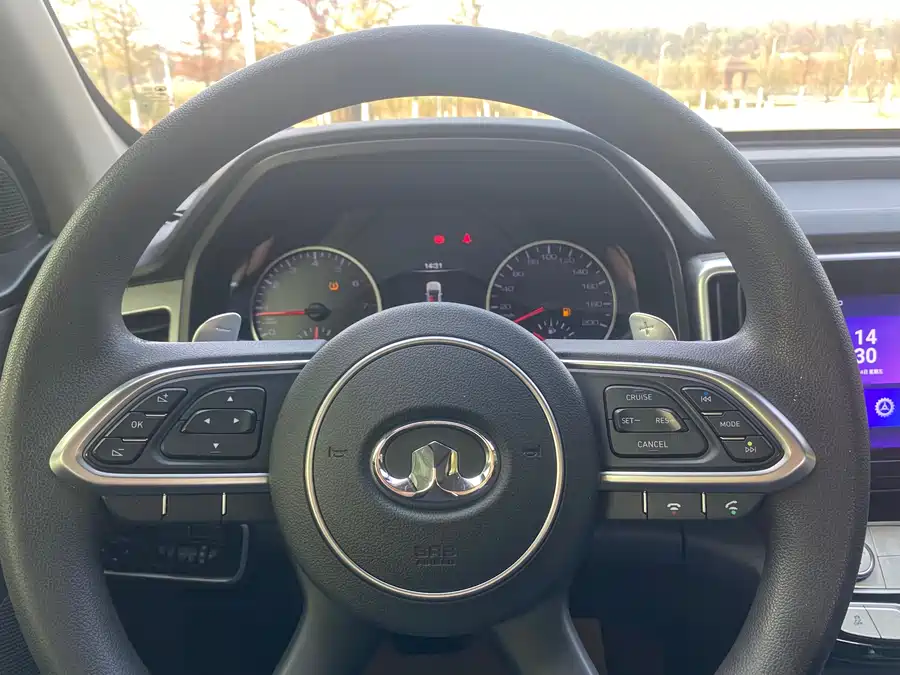 Used GWM Cannon 2019 2.0T commercial version automatic gasoline two-wheel drive elite long box GW4C20B