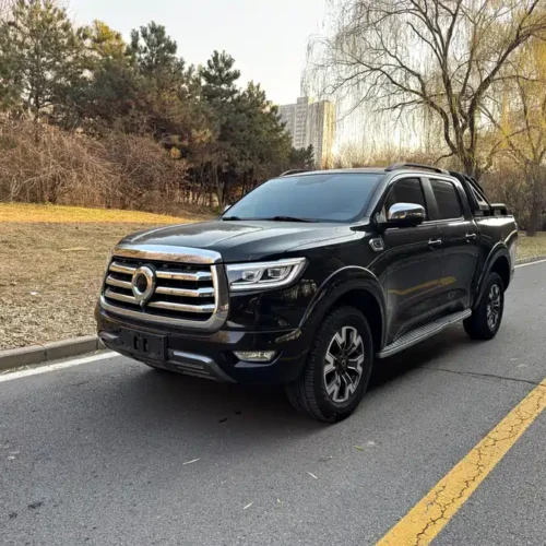 Used GWM Cannon 2021 2.0T passenger global version automatic diesel four-wheel drive sports standard box GW4D20M