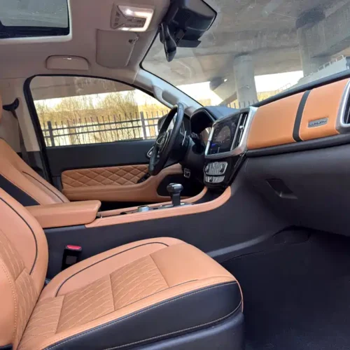 Used GWM Cannon 2021 2.0T passenger global version automatic diesel four-wheel drive sports standard box GW4D20M