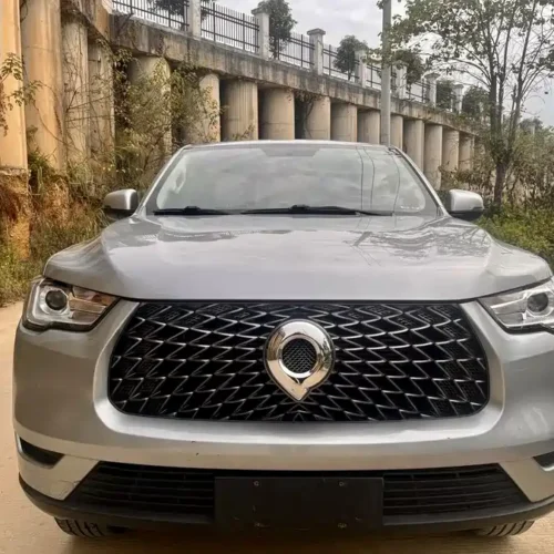Used GWM Cannon 2019 2.0T commercial version manual gasoline four-wheel drive elite standard box GW4C20B