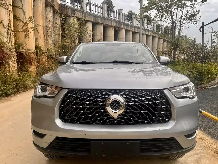 Used GWM Cannon 2019 2.0T commercial version manual gasoline four-wheel drive elite standard box GW4C20B