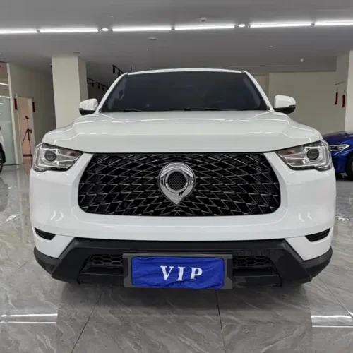 Used GWM Cannon 2023 2.0T commercial version manual diesel four-wheel drive elite standard box GW4D20M