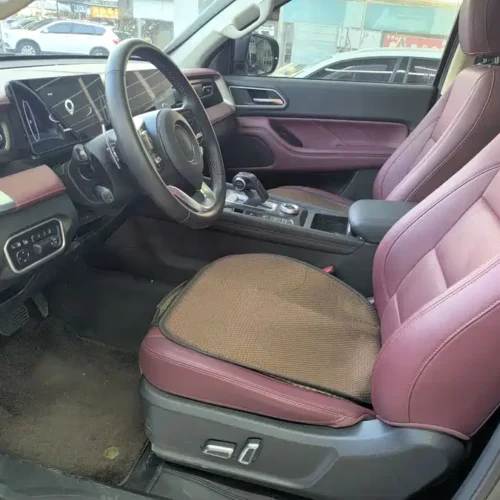 Used GWM Cannon 2023 2.0T off-road version automatic diesel four-wheel drive high-end version