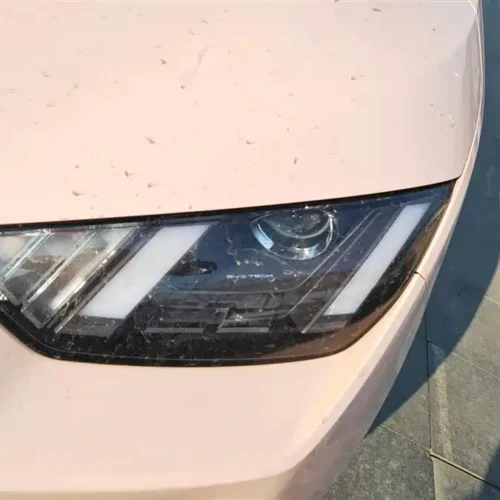 900x675_0_q87_c42_autohomecar__ChxpVmmT6B2AB5iKAAFBANdLQY0067.jpg.webp Used BYD Seagull 2023 Vitality Edition