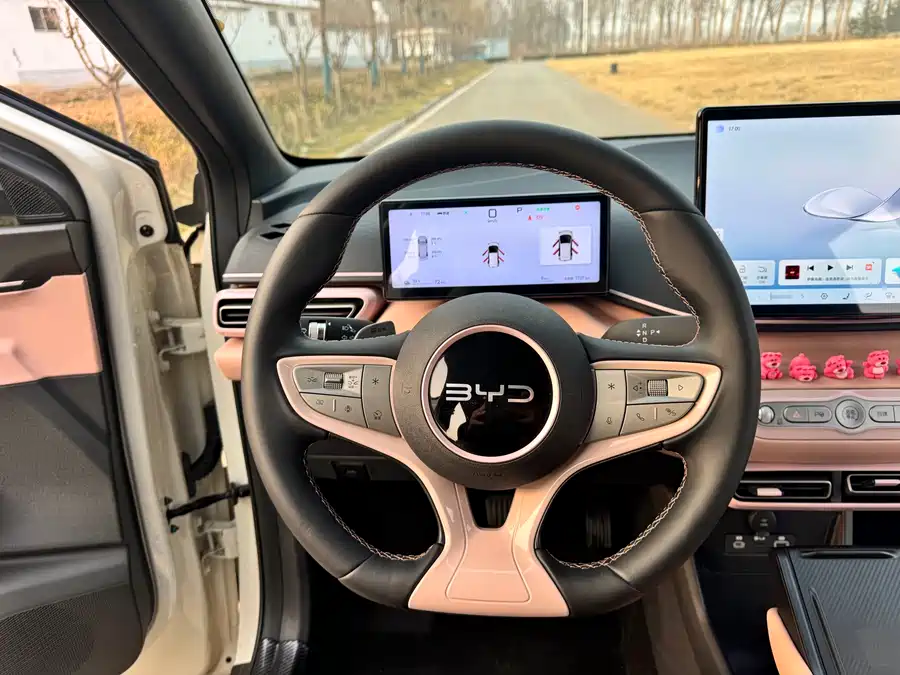 Used BYD Seagull 2025 smart driving version 305km free version