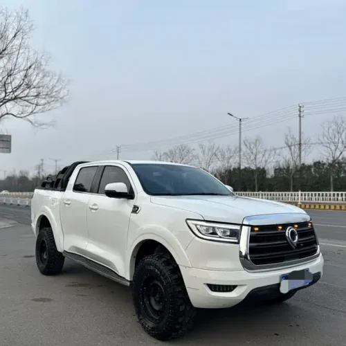 Used GWM Cannon 2019 2.0T automatic gasoline four-wheel drive comfort version GW4C20B