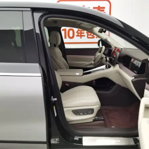 Used Denza N9 2025 Honor Model