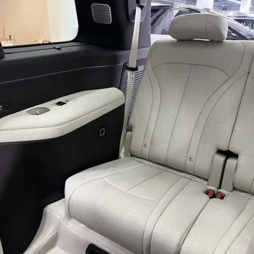 Used Denza N9 2025 Honor Model