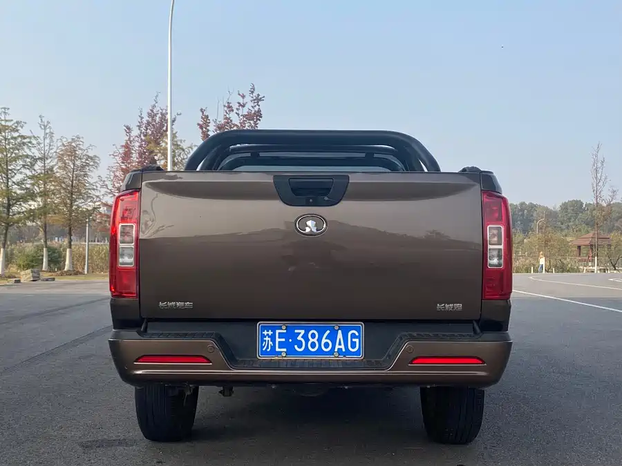 Used GWM Cannon 2019 2.0T commercial version automatic gasoline two-wheel drive elite long box GW4C20B