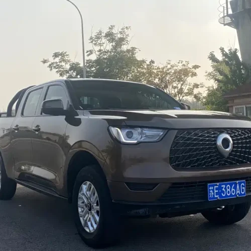 Used GWM Cannon 2019 2.0T commercial version automatic gasoline two-wheel drive elite long box GW4C20B