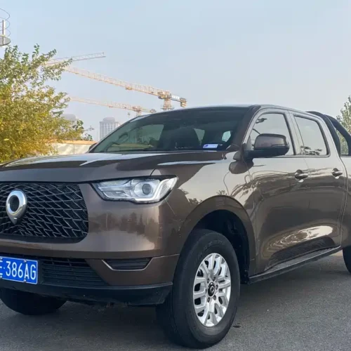 Used GWM Cannon 2019 2.0T commercial version automatic gasoline two-wheel drive elite long box GW4C20B