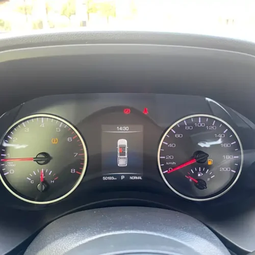 Used GWM Cannon 2019 2.0T commercial version automatic gasoline two-wheel drive elite long box GW4C20B
